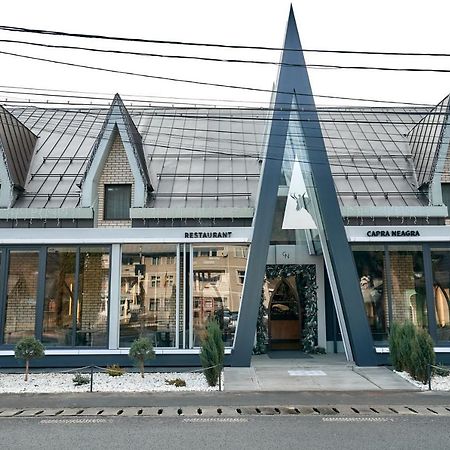 Pensiune Restaurant Capra Neagra 莫伊塞 外观 照片