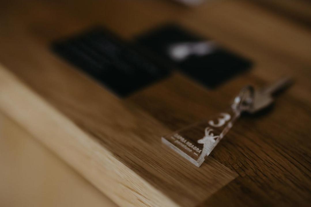 Pensiune Restaurant Capra Neagra 莫伊塞 外观 照片